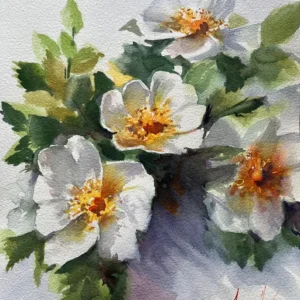 Ana sayfa göl ve tekneler